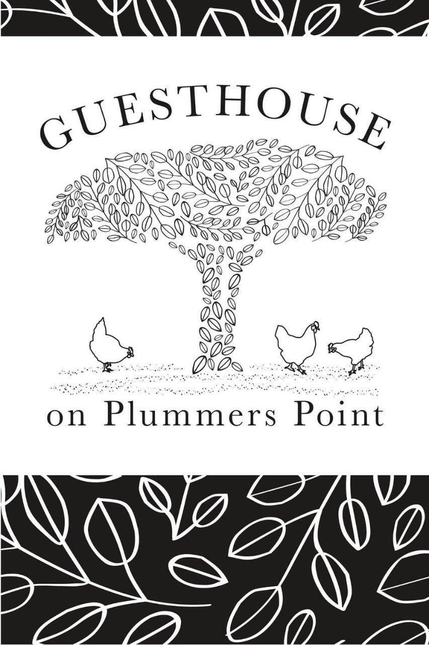 Guest House On Plummers Point Тауранга Экстерьер фото